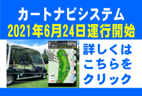 カートナビ