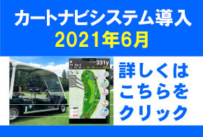 カートナビ